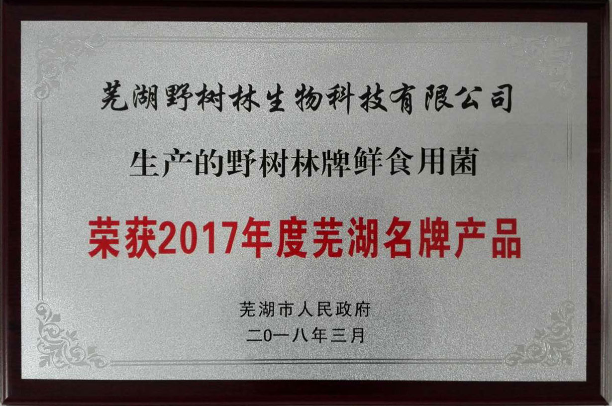 2017年度芜湖名牌产品