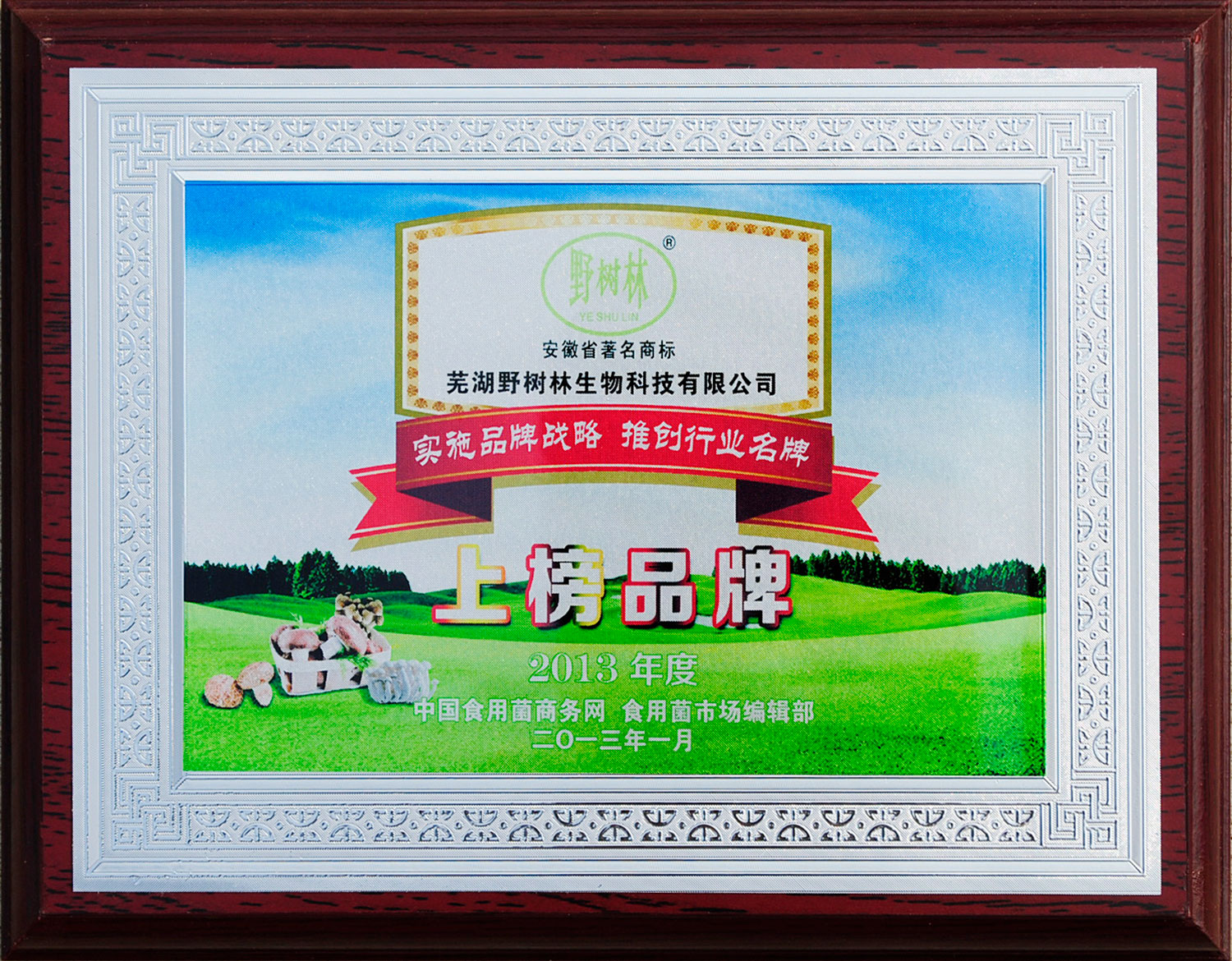 2013年度上榜品牌