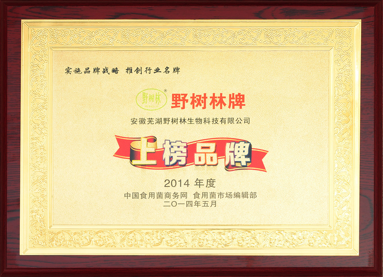 2014年度上榜品牌