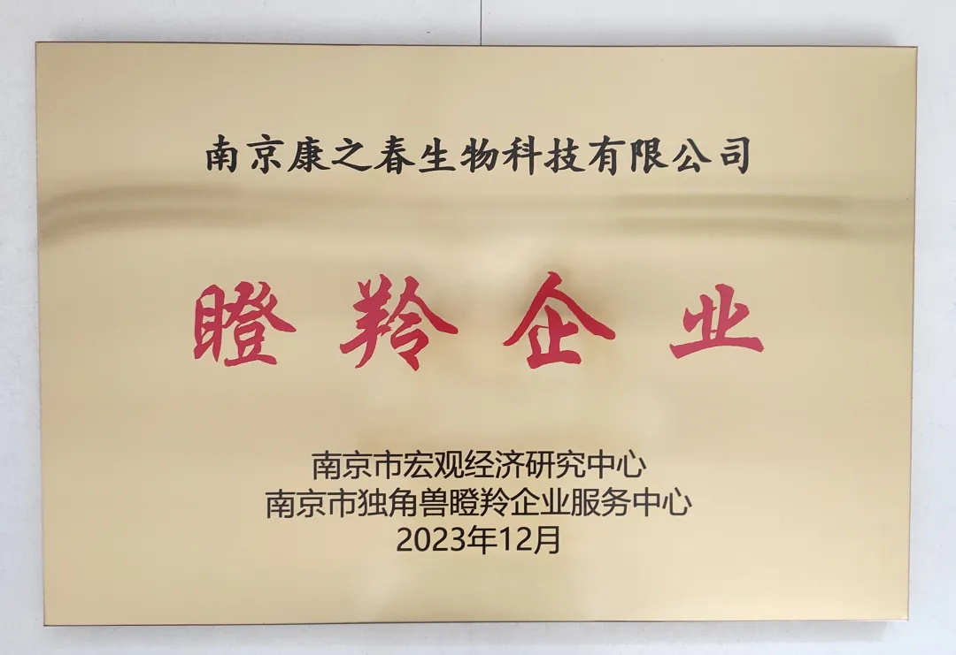 南京市瞪羚企业