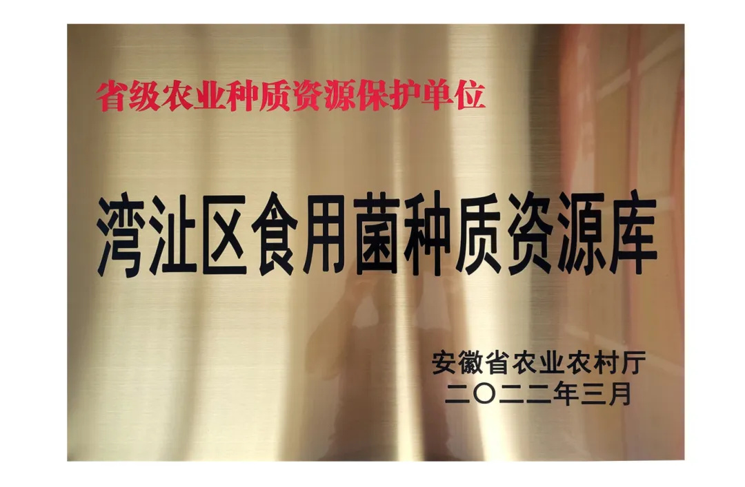 安徽省食用菌省级种质资源保护单位
