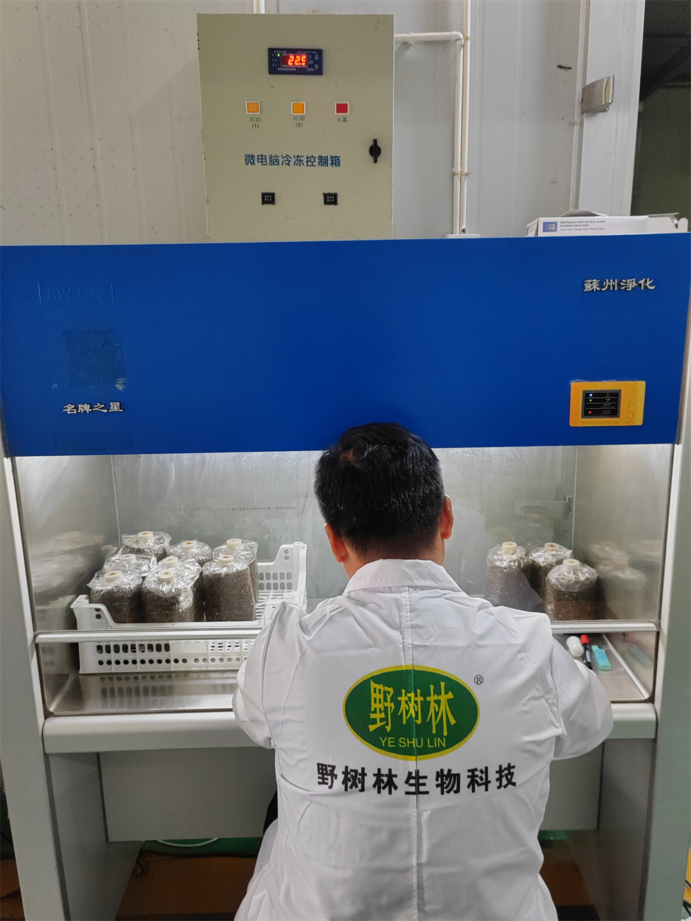 品种研发