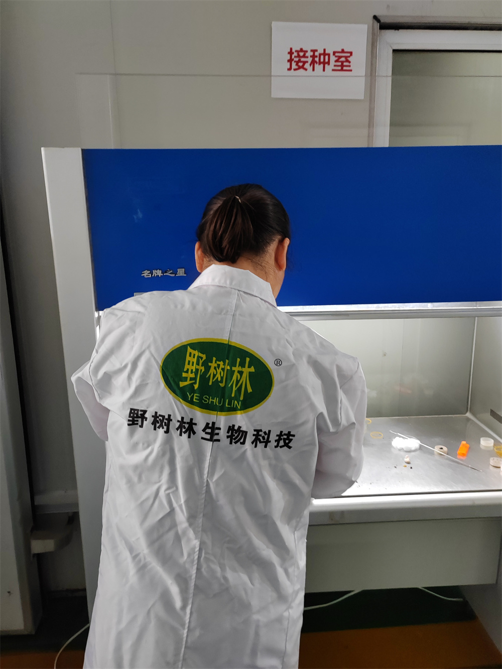 品种研发