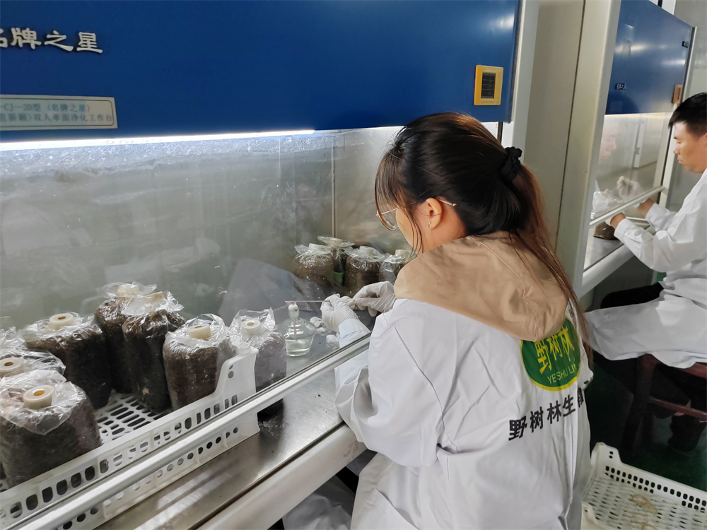 品种研发
