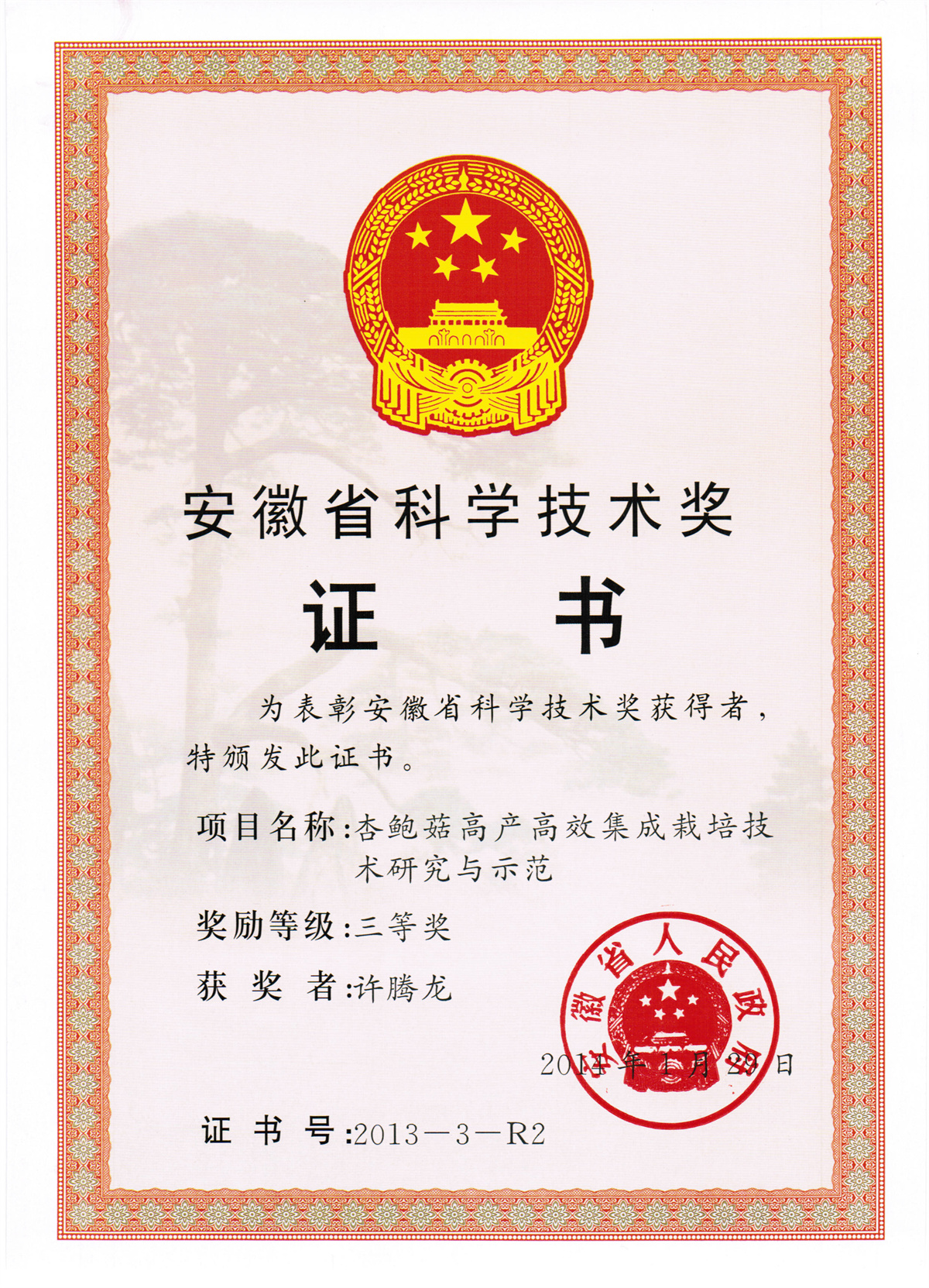 许腾龙-安徽省科技进步奖证书