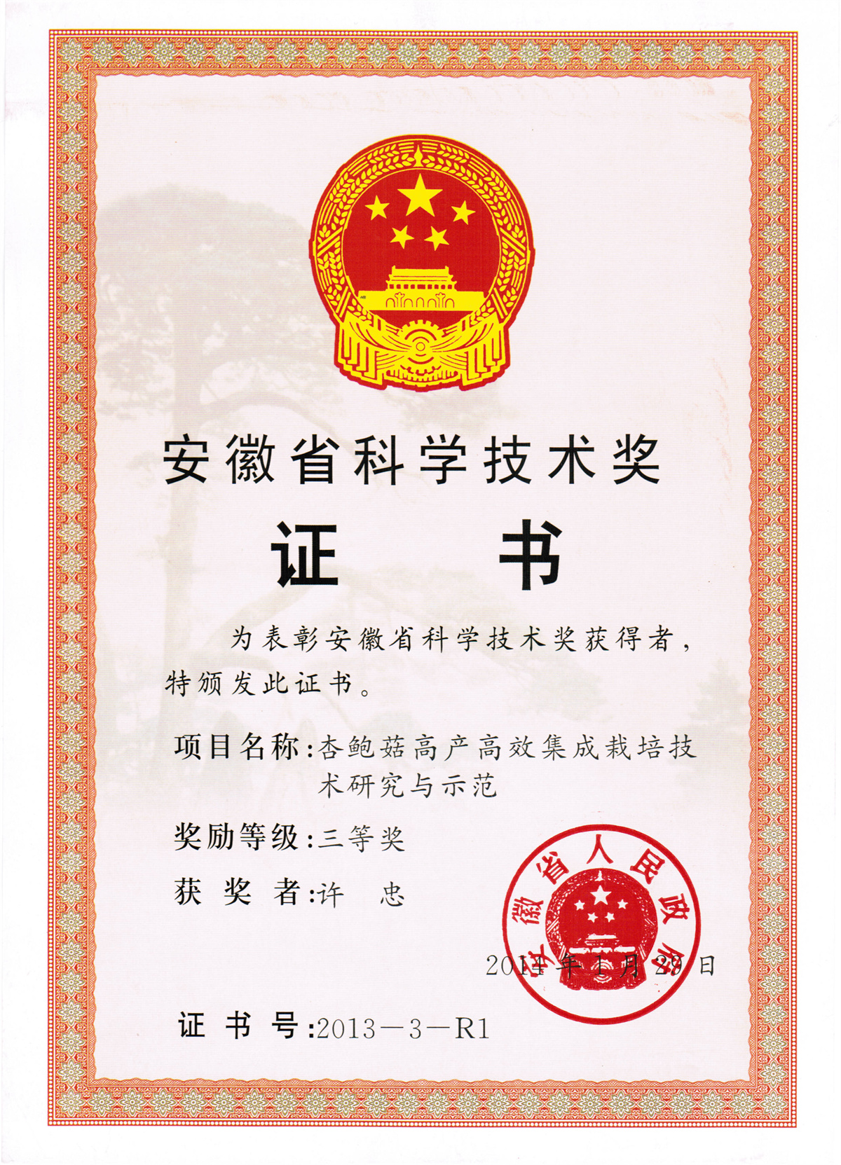 许忠-安徽省科技进步奖证书