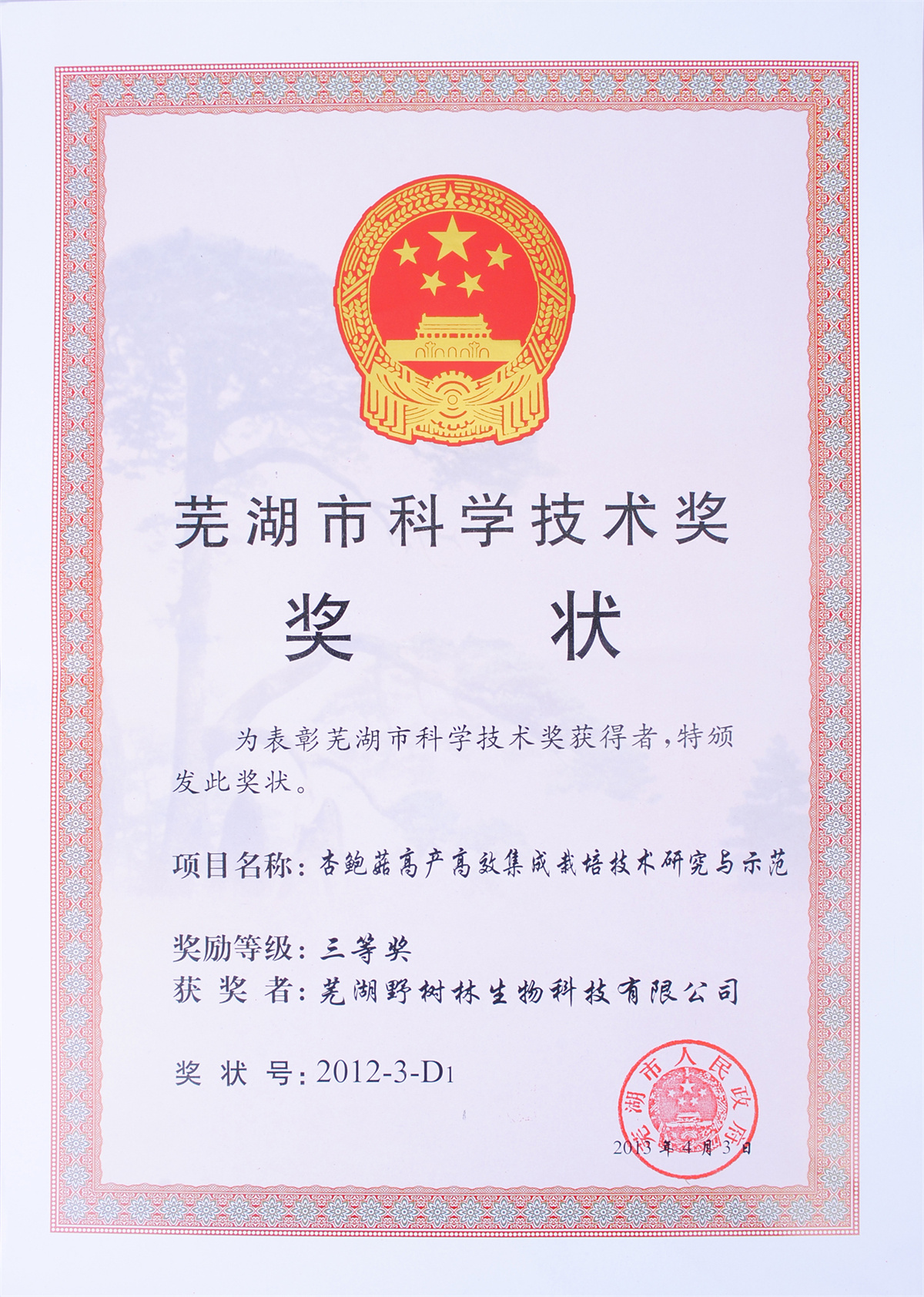 市三等奖公司