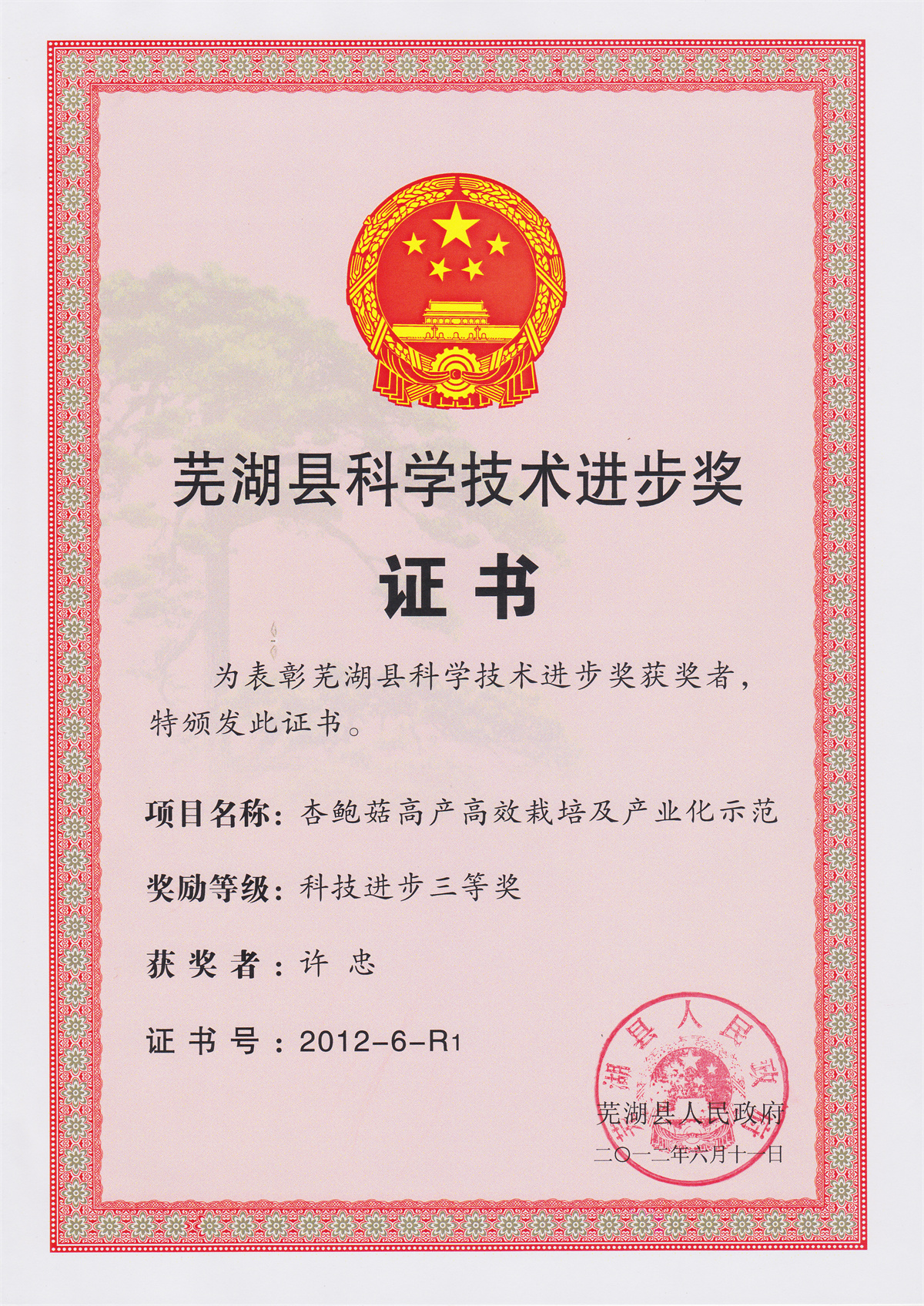 许忠-芜湖县科技进步奖证书