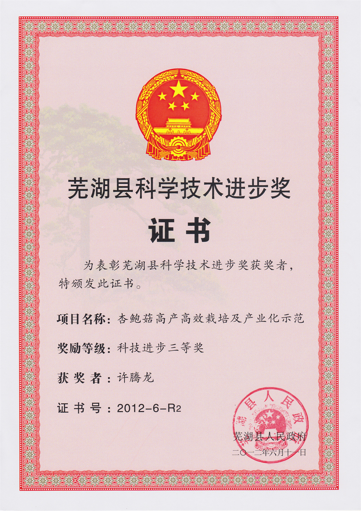 许腾龙-芜湖县科技进步奖证书