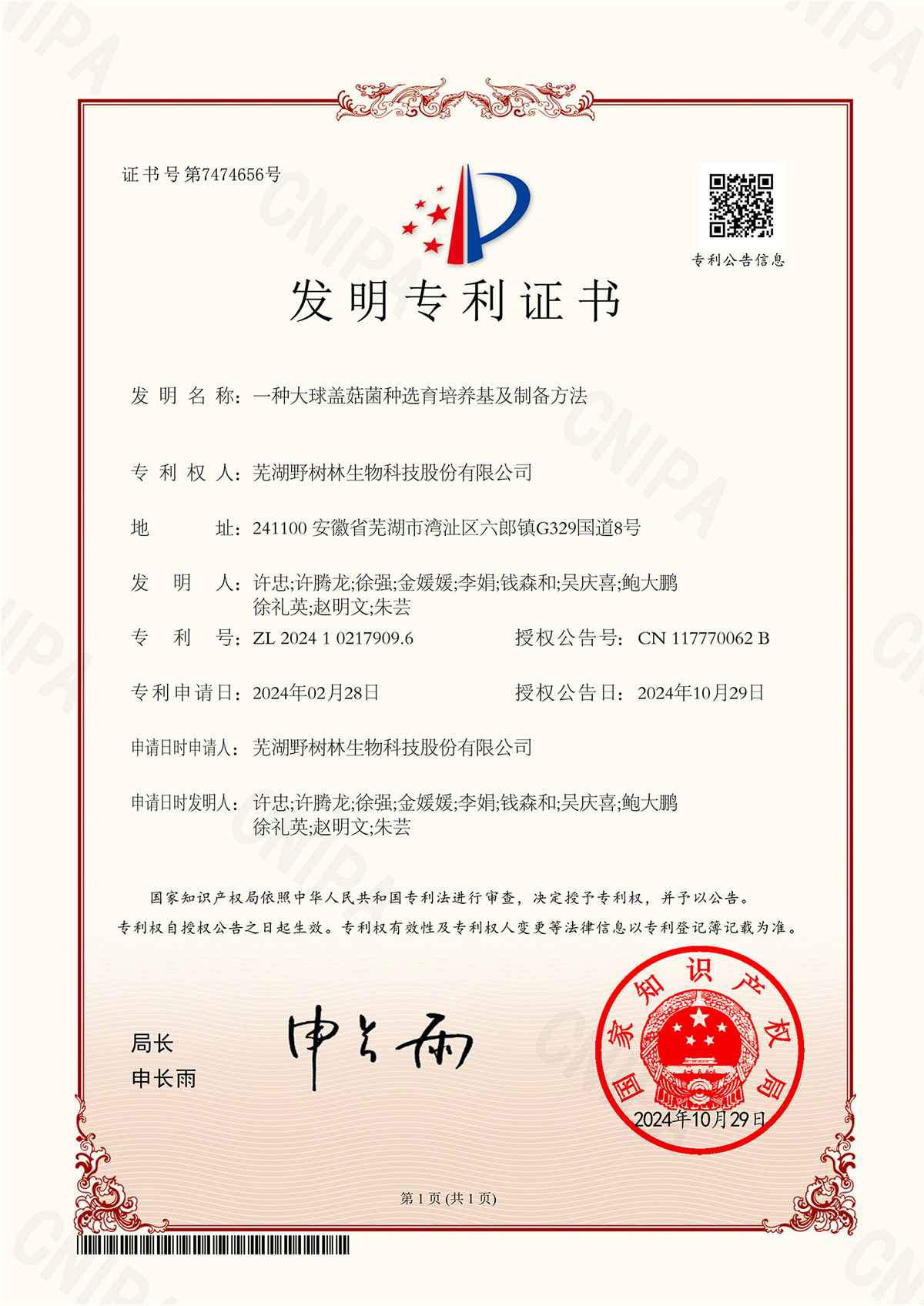 202410一种大球盖菇菌种选育培养基及制备方法_1