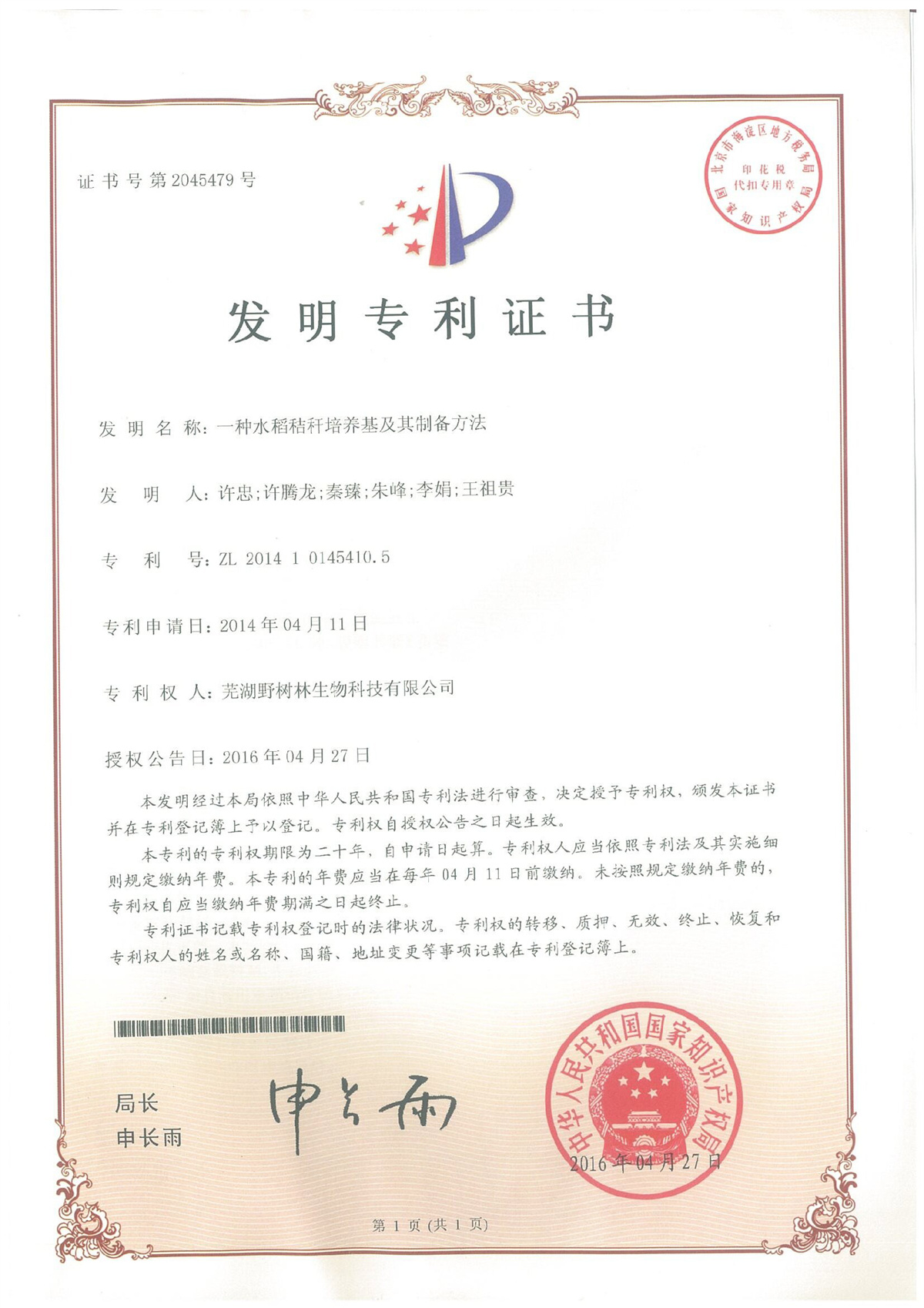 发明专利证书
