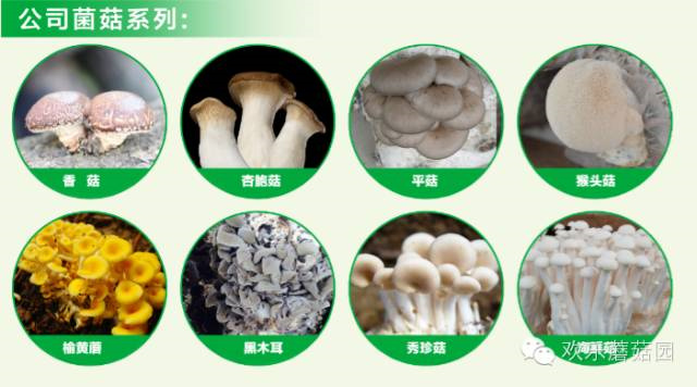 640 (1)_副本.jpg