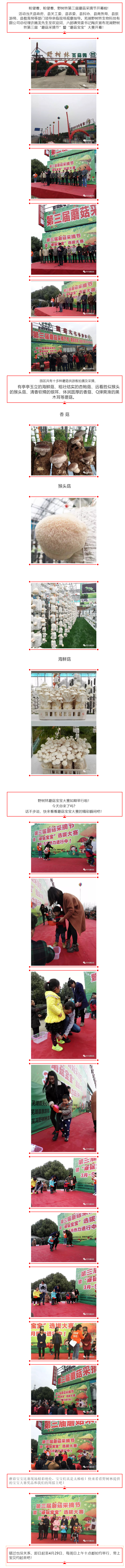未标题-9.jpg