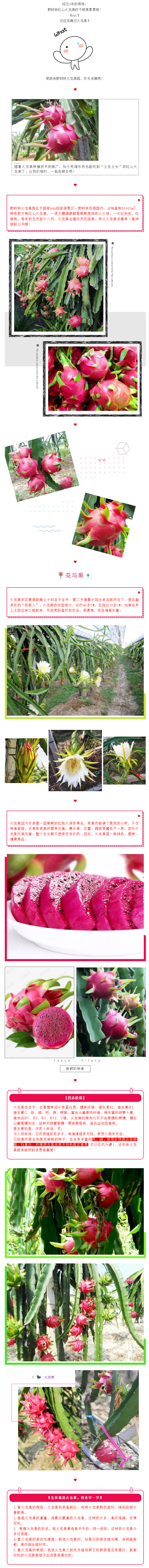 未标题-25.jpg