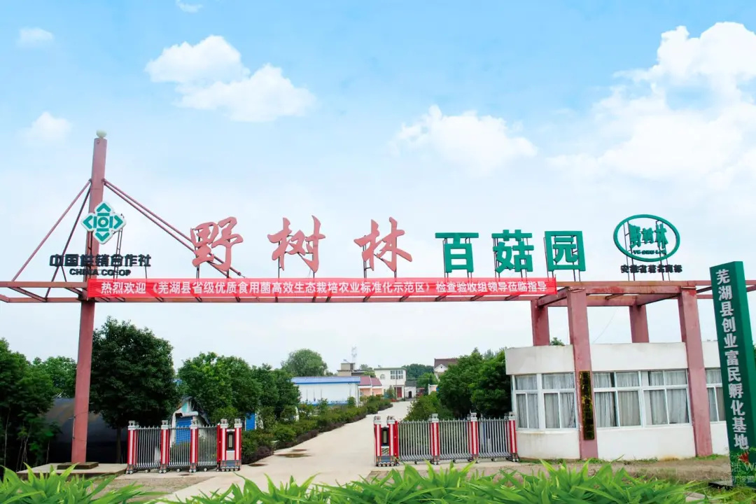 “劳模志愿服务队”在行动