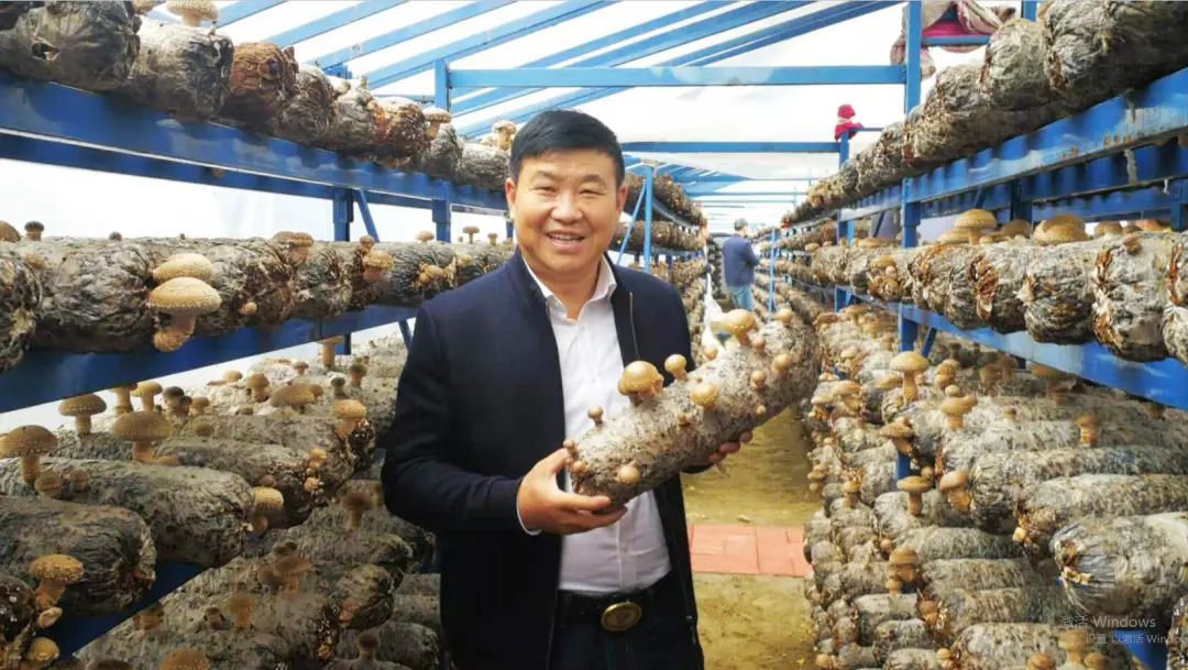 小蘑菇撑开致富伞—记芜湖市最美志愿者许忠