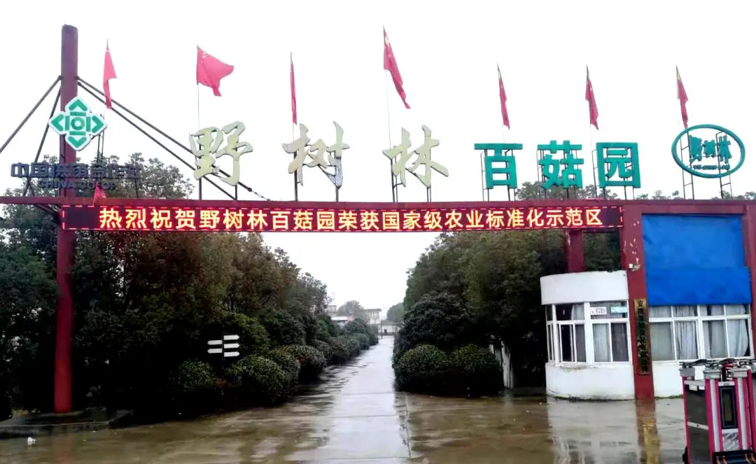 野树林公司心系一线送温暖、抗疫慰问暖人心