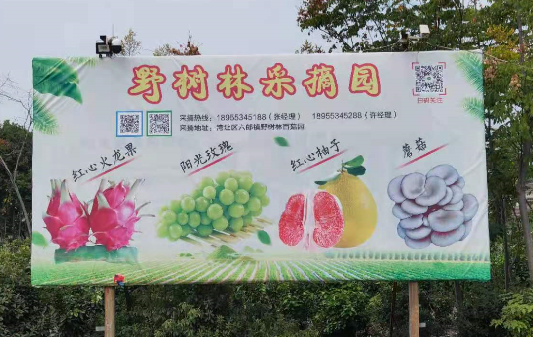 国庆长假去哪玩？一起来野树林百菇园欢乐采摘吧！文末有福利！