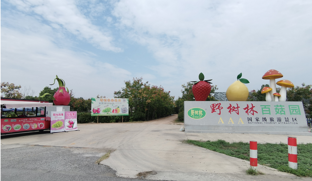 庆丰收，促和美，喜迎中秋、国庆，中国农民丰收节野树林邀您一起参与丰收的喜悦