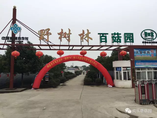 第三届蘑菇采摘节盛大开幕啦！