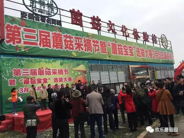 第三届“蘑菇采摘节”暨“蘑菇宝宝”大赛最后一周周冠军选拔赛