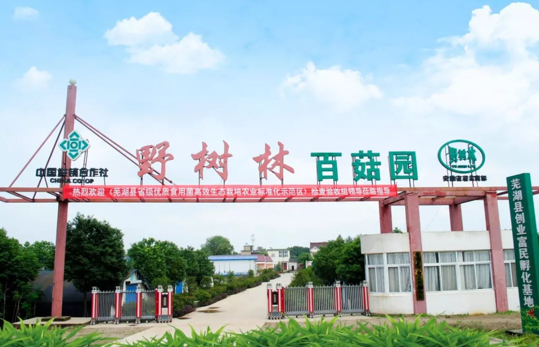 好玩！好看！更好吃！这家真牛！