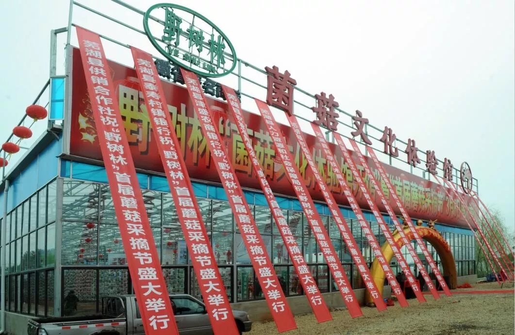 双旦去哪嗨？采摘节提前开启啦！12月28日，第五届蘑菇、草莓、火龙果采摘节开启啦！