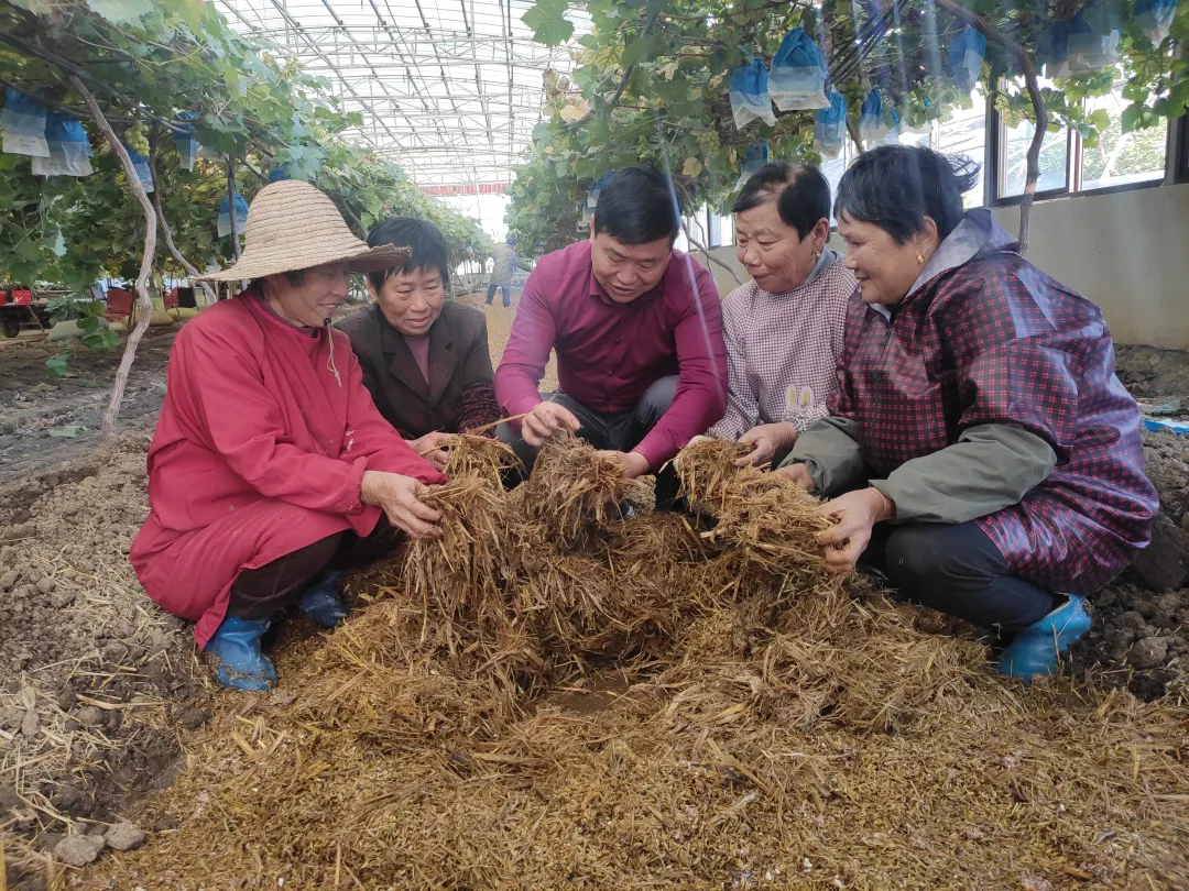 许忠：四十载耕耘，半生铸就正高级农艺师资质荣誉