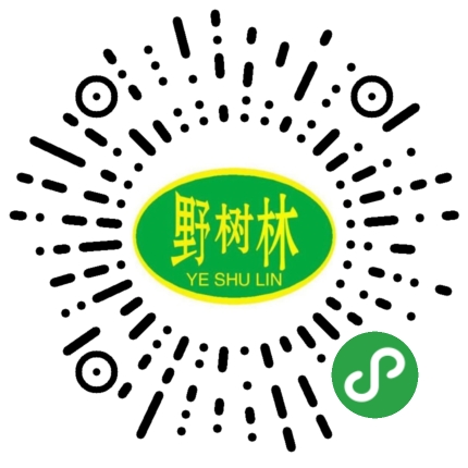 访问手机站